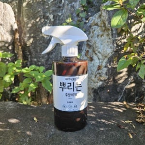 뿌려 쓰는 주방 세제 텀블러 세정 뿌리는 주방 세제 과일 세정제 500ml