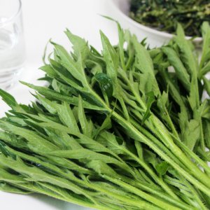 삼잎국화나물 산나물 400g 1kg