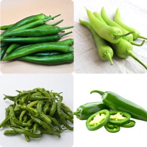 26년 햇 청양고추 아삭이 오이고추 풋고추 가지 여리 고추잎 당조 할라피뇨 홍고추 국내산