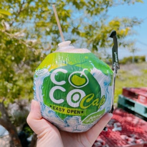 베트남 코코넛 열대과일 이지오픈 4과 (총 4kg내외)