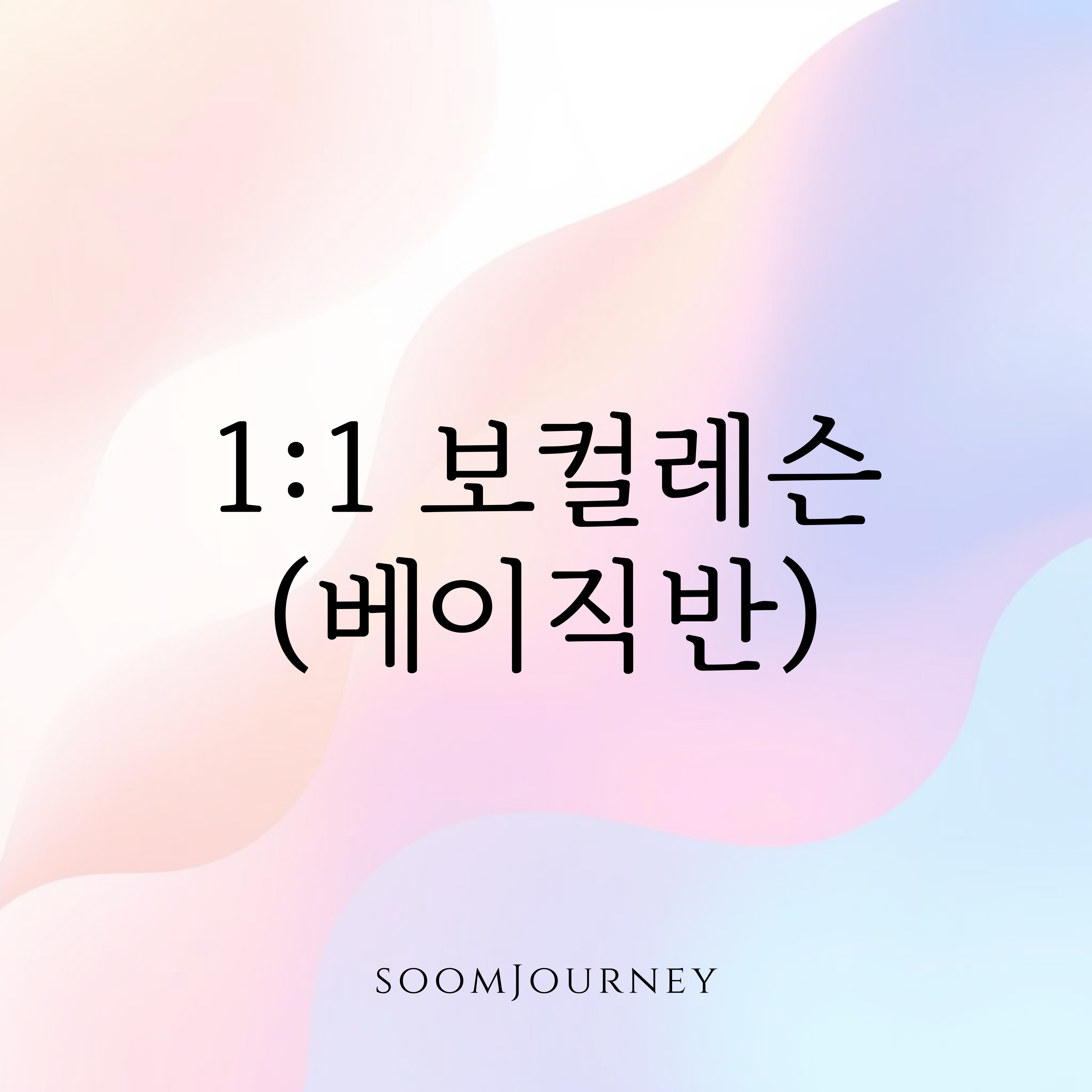 1:1 정규클래스 (베이직반)