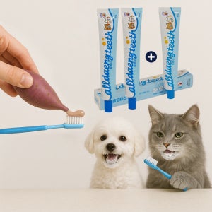 [올댕티스 2개 + 본품 1개 고구마맛 반려동물 치약] 간식인 줄 알고 덥석! 양치도 맛있게! - 구취제거 / 치석예방 /구강청결