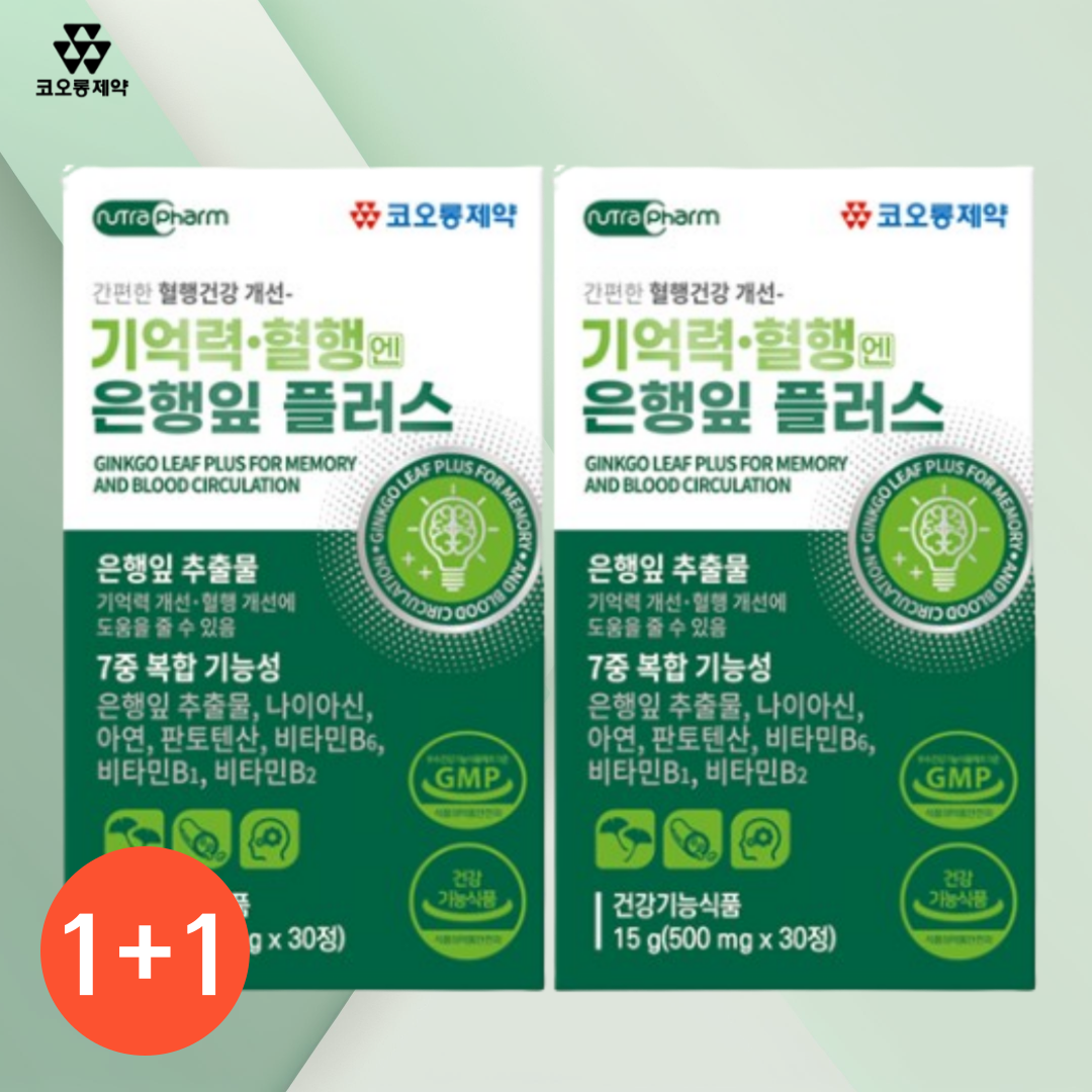 <b>기억력</b> 혈행엔 플라보놀 은행잎 플러스 은행나무 추출물 개선 효능