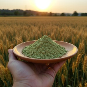 프리미엄 야채 당뇨선식 2kg 국내산 클로렐라 곡물 51가지 식사대용 30년전통 수진선식