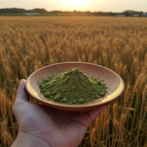 30년전통 수진선식 곡물야채 식사대용 당뇨선식