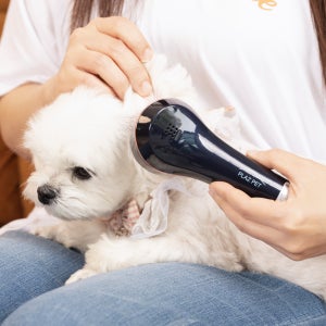 제품사진촬영, 연출컷, 디테일컷, GIF, 움짤