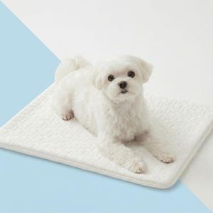 시온 강아지쿨매트 듀라론 무자극 애견 냉감패드 자루식 고양이쿨매트 반려동물 소형 50x60