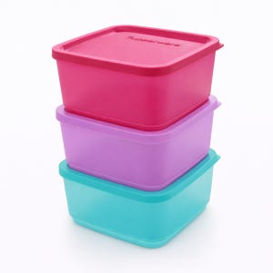 타파웨어 싱싱블록 650ML 반찬통 밀폐용기 찬통 김치통 냉장 냉동 보관용기