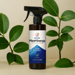플랜트에너지 블루윈 식물 화분 화초 영양제 비료 몬스테라 허브 난 뿌리 발근제 500ml