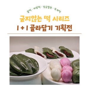 영자상회 굳지않는 모듬 꿀떡 바람떡 앙금절편 쑥개떡 1kg+1kg (총 2kg) 4종 선택 떡