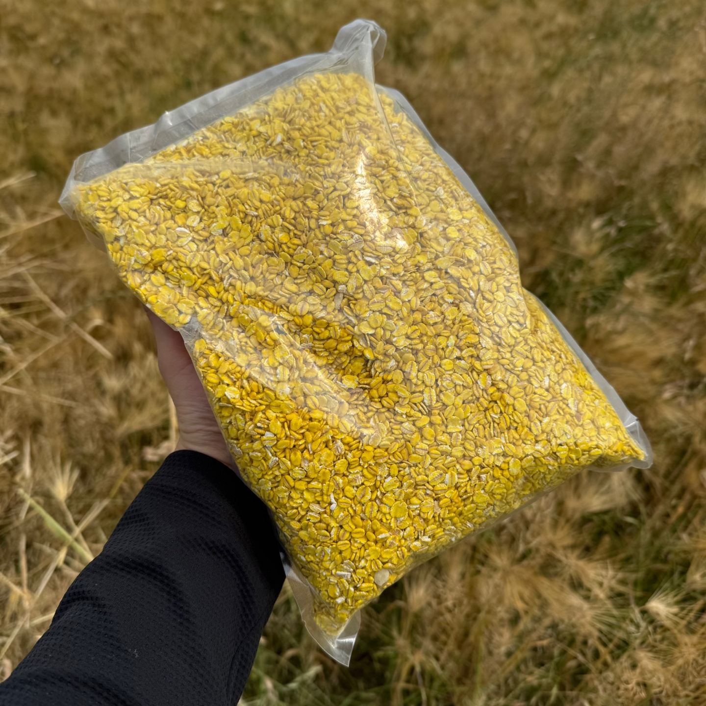정우크릴 대용량 황금 보리 노란 압맥 1.5kg 옥수수 대용 감성돔 집어제 밑밥
