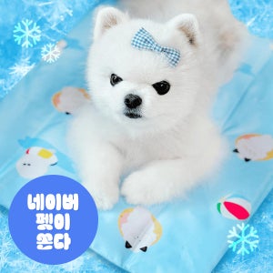 [오늘출발] 로렌츠 강아지 고양이 쿨매트 애견방석 냉감 여름 반려동물 M