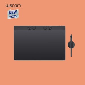 와콤 인튜어스프로 PTK870 대형 전문가용 펜타블렛 드로잉패드 웹툰 그래픽타블렛