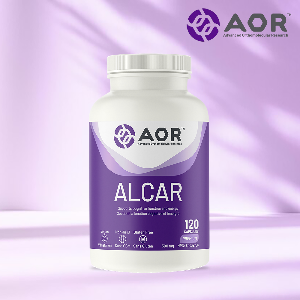 AOR <b>NAC</b> ALCAR 아세틸 L 카스테인 120캡슐 이뮨서포트 에이오알