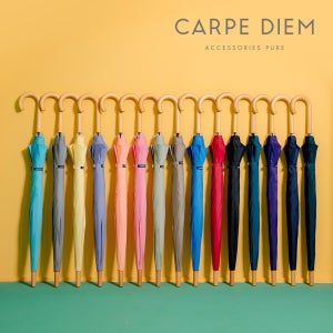 카르페디엠 15 컬러 스마트 우드 핸들 12K 장우산 S011