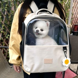 패리스독 데이지 펫백 투명 앞가방 고양이 강아지 백팩
