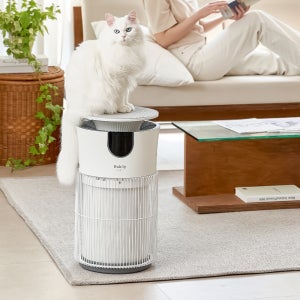 브라비 펫 전용 공기청정기 반려동물 냄새·털 제거 HEPA 3단계 필터 UVC 살균 음이온