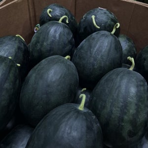 프리미엄 초고당도 흑수박 13brix 제철