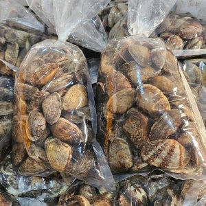 바지락 왕바지락 남해 활 바지락 바지락탕 칼국수 1kg 2kg 3kg 4kg 5kg