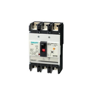 대륙 누전차단기 DSG 204NS 4P 100A 25kA