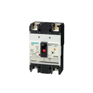 대륙 누전차단기 DSG 202NS 2P 150A 25kA