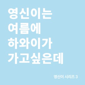 영신이는 여름에 하와이가 가고싶은데 홀빈, 200g, 1개
