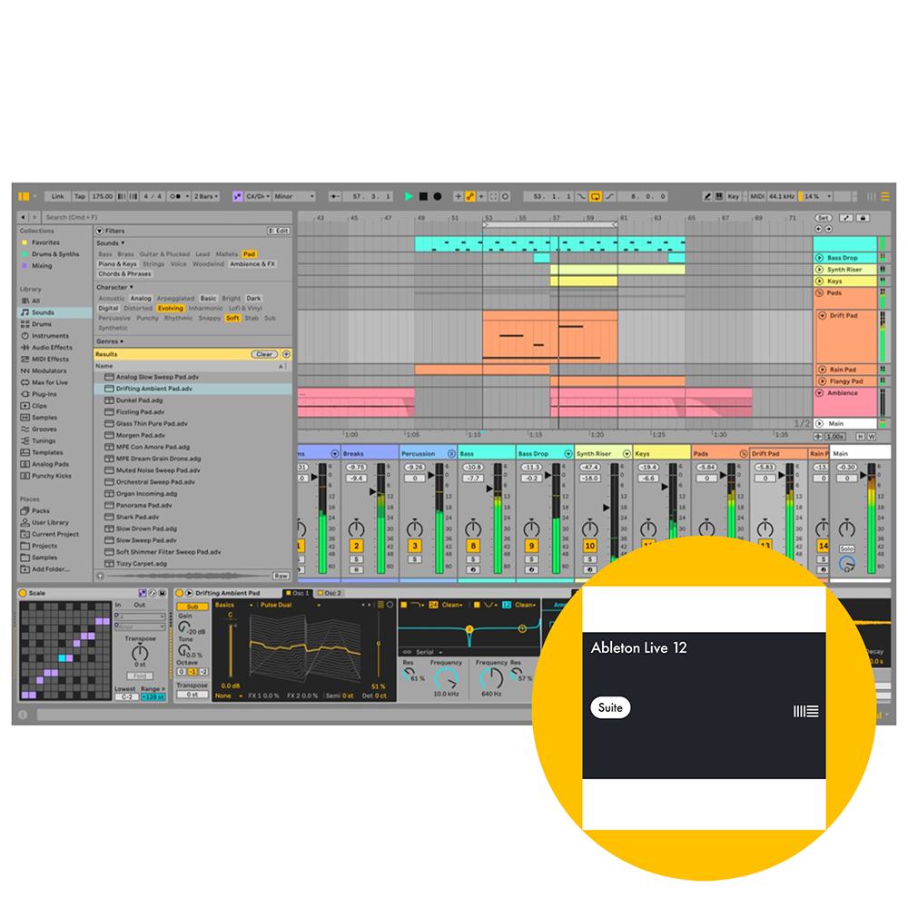 Ableton Live 12 Suite 에이블톤 라이브