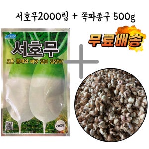 김장철이벤트 서호무씨앗2000립 + 쪽파종구500g 무료배송패키지