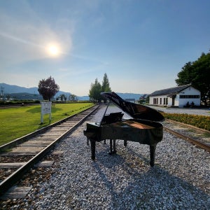 전국그랜드피아노 렌탈 대여 행사