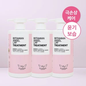 보타미안엔젤 LPP 트리트먼트 극손상 단백질 헤어팩 머리 영양제 과일, 750ml, 3개