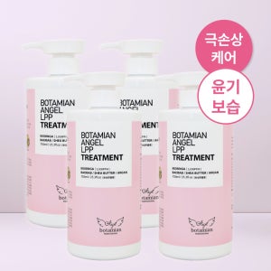 보타미안엔젤 LPP 트리트먼트 극손상 단백질 헤어팩 머리 영양제 과일, 750ml, 4개