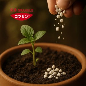 일본 코츠린 인산칼슘비료 식물영양제 200g