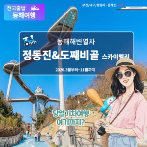 [동해바다] 정동진과 동해 도째비골/스카이 벨리-기차여행