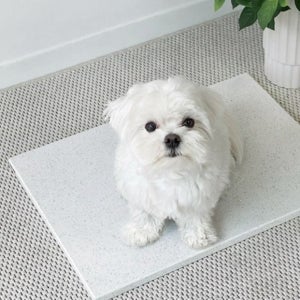강아지 대리석 매트 애완동물 고양이 강아지 시원한 천연 냉방석 얼음 쿨매트 반려견 돌침대