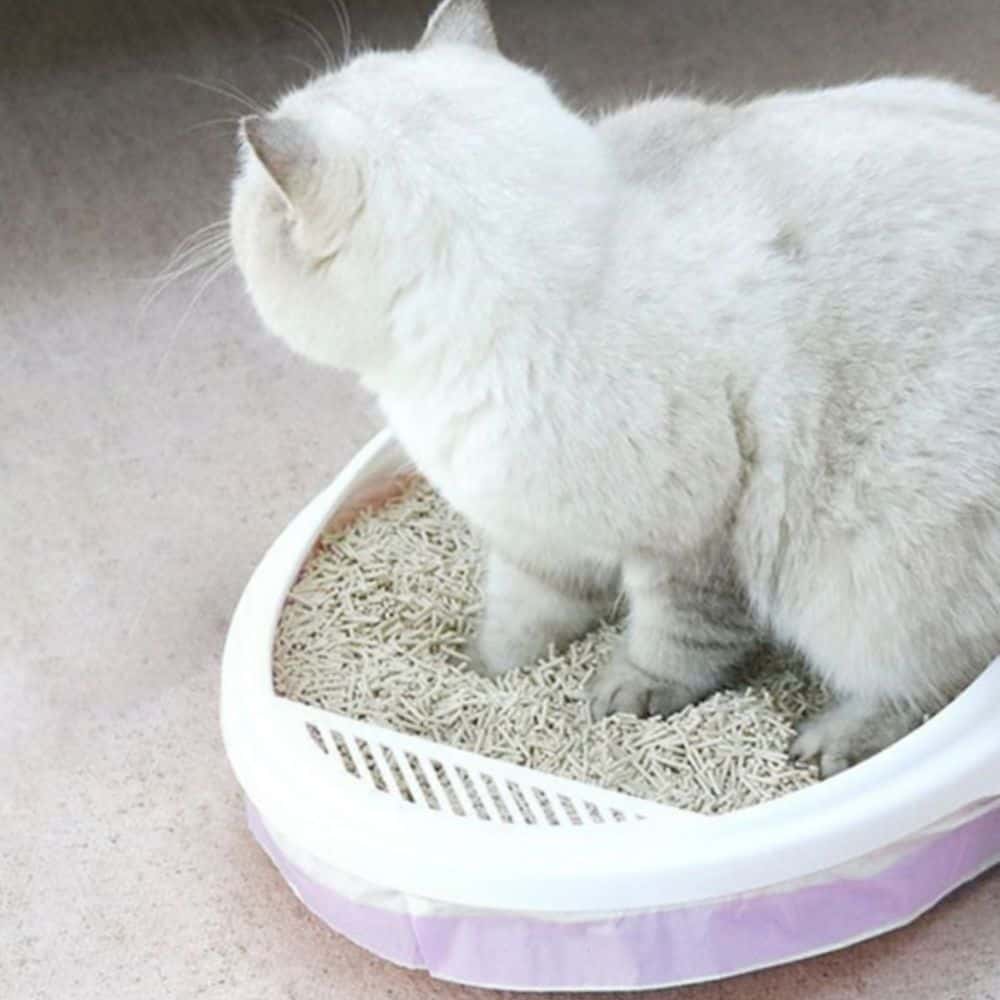 위생적 반려묘 전용 배변봉투 3롤 104x45cm 청결 리필형 고양이똥봉투