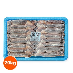 원양산 포크오징어 선동 오징어 20kg 채낚기 냉동 포클랜드 수입산 업소용