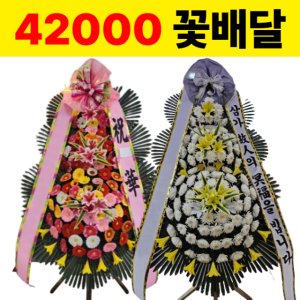 일산서구꽃배달