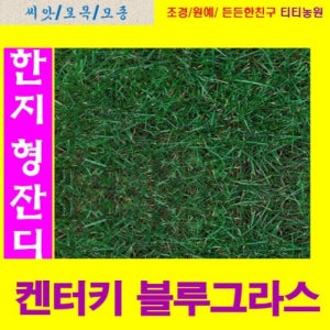 RA 잔디씨앗 켄터키 블루 그라스 10리터 약200평