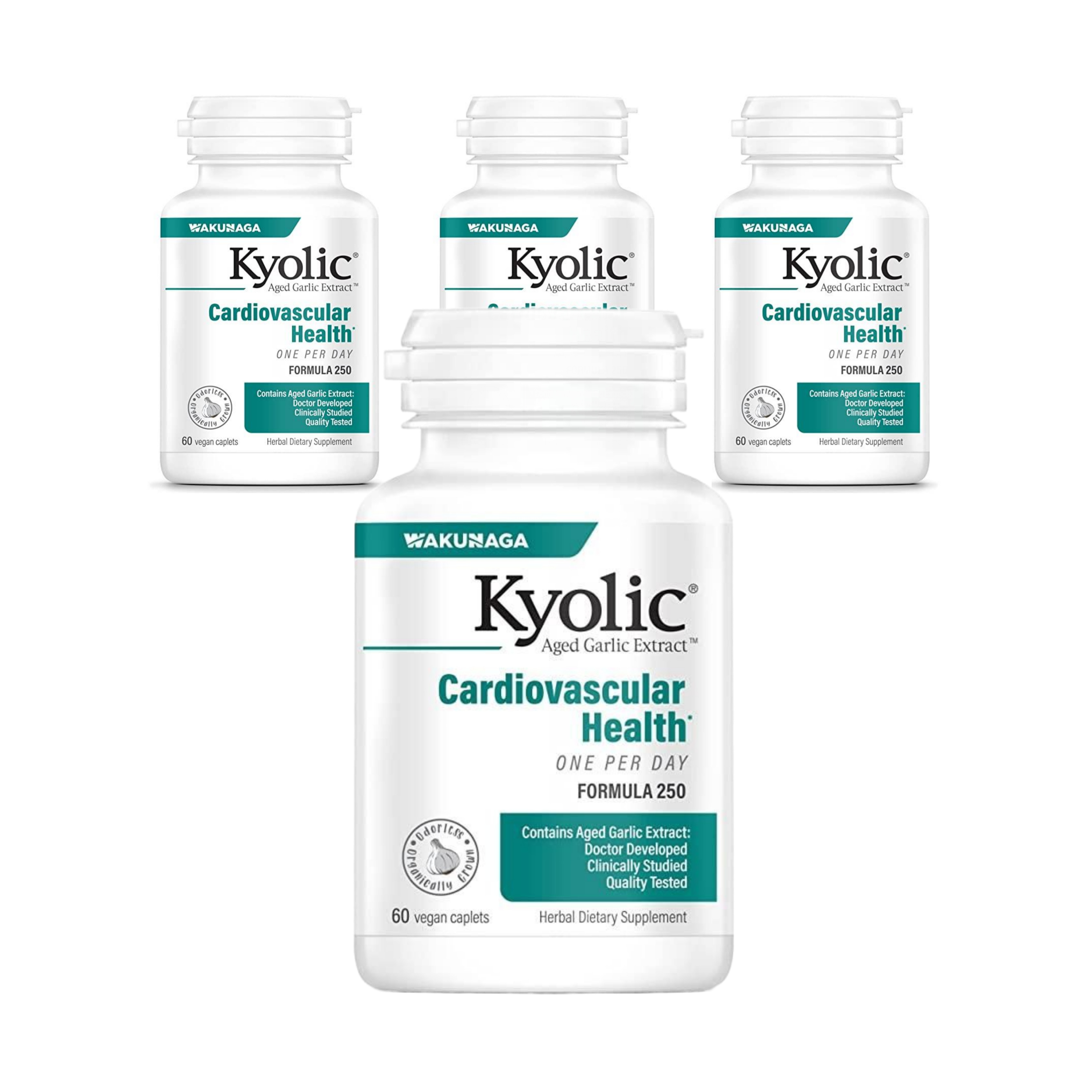 [3+1] <b>쿄릭</b> Kyolic 숙성 마늘 추출물 <b>심혈관</b> 60정 Garllic 포뮬러 250