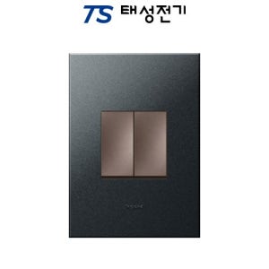 태성전기 르그랑 아테오 정사각 상하3로 2구 스위치 그라파이트