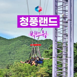 [제천] 청풍랜드 빅스윙 이용권 / 충주 액티비티 체험 / 충북 가볼만한곳