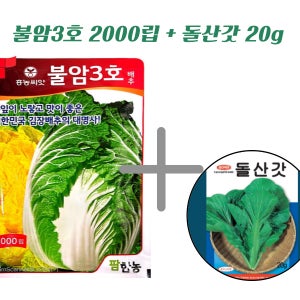 불암3호배추씨앗 2000립 + 돌산갓씨앗 20g 세트 김장철이벤트