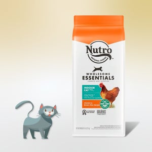 뉴트로 내추럴초이스 캣 인도어 닭고기와현미 2.27kg 고양이 사료