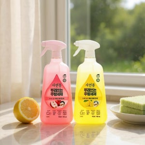 뿌려쓰는 주방 세제 750ml 2종세트 스프레이형 식물유래 기름때 제거 친환경 저자극 세제