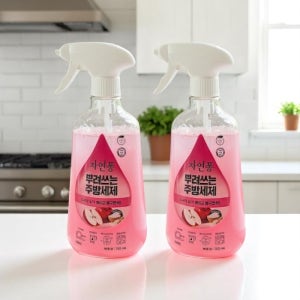 뿌려쓰는주방세제 애플향 750ml 2개 친환경 대용량 주방 세제
