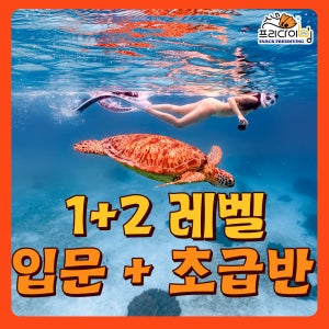 프리다이빙 강습 1+2레벨 PADI 초급 과정 성남 송도 시흥