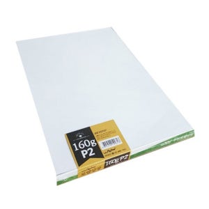 출력용상장용지(A4),로얄P2무지 160g 100매/DN4610070