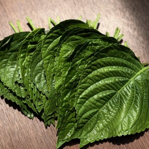 유기농 깻잎 경기 광주 국내산 산지직송 혈당개선 특허토양 재배 600g