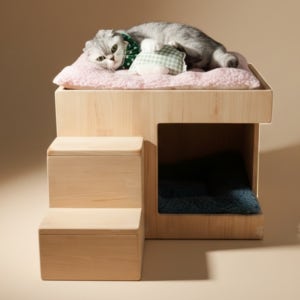 편백나무 원목 강아지집 고양이하우스 테이블형