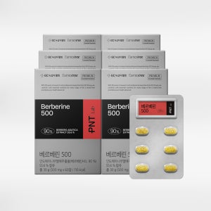 녹십자웰빙 PNT 베르베린 500mg 매자나무추출물 여주추출물 60정, 6개